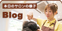 Inu to Blog 本日のサロンの様子