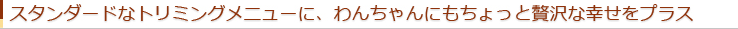 スタンダードなトリミングメニューに、わんちゃんにもちょっと贅沢な幸せをプラス