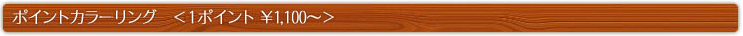 ポイントカラーリング　＜１ポイント ￥1,100～＞