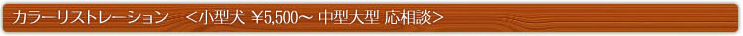 カラーリストレーション　＜小型犬 ￥5,500～ 中型大型 応相談＞