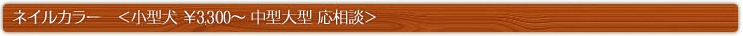 ネイルカラー　＜小型犬 ￥3,300～ 中型大型 応相談＞
