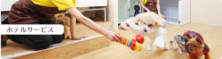 ホテルサービス